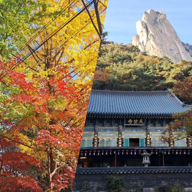  도봉산 단풍 명소 등산코스 시간 멧돼지 도봉산역 천축사 가는길 마당바위 자운봉