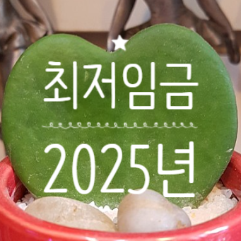 2025년 최저임금 최저시급 최저월급 최저연봉 2025년 최저임금 고시