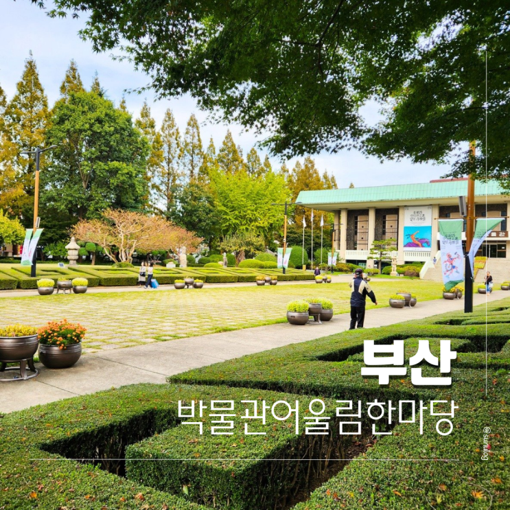 11월 <b>부산</b> 행사 박물관 어울림 <b>교육 한마당</b> 아이와 가볼만한 곳