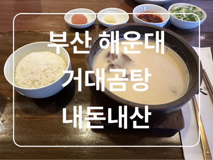  부산 해운대 거대곰탕 내돈내산 솔직후기