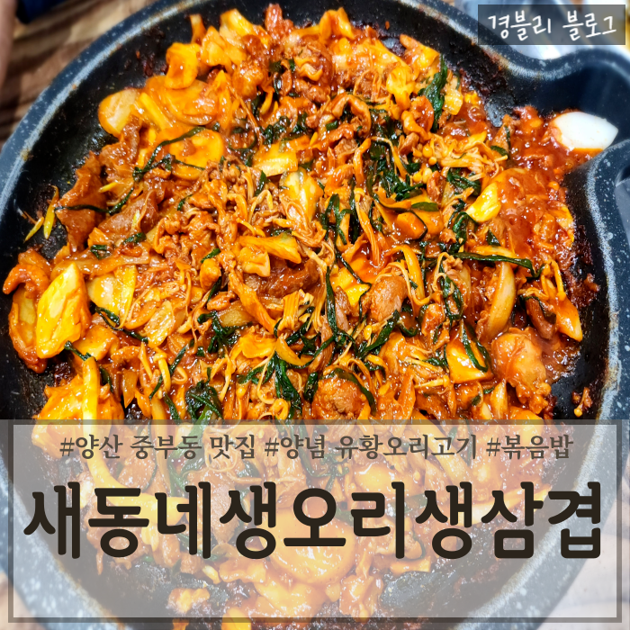  양산중부동맛집 오리불고기맛집 양산로컬맛집 '새동네생오리생삼겹'