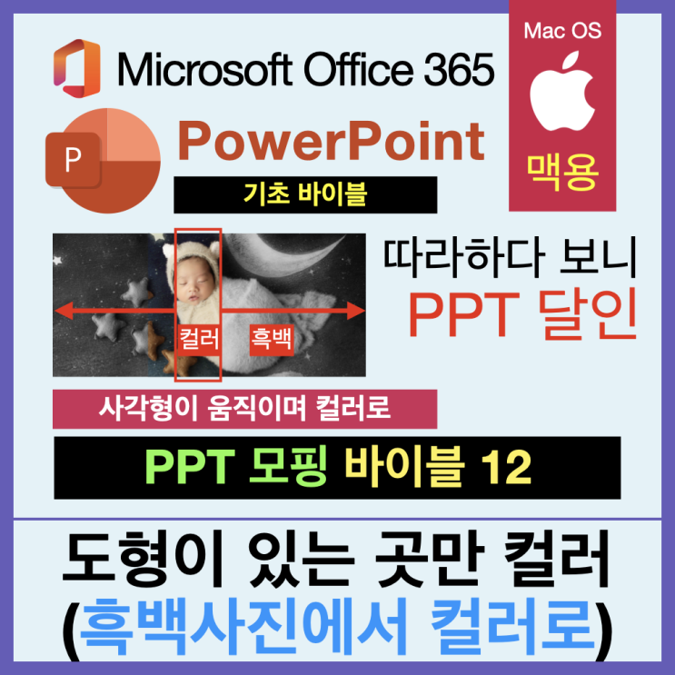 따라 하다 보면 PPT 달인 모핑 바이블 12. 흑백 그림에서 직사각형이 왔다 갔다 하며 컬러로 보이게 하기 따라 하다 보면 PPT 달인 모핑 바이블 12. 흑백 그림에서 직사각형이 왔다 갔다 하며 컬러로 보이게 하기