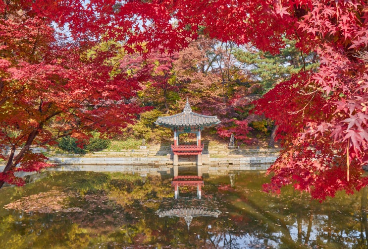  창덕궁 후원 사계(四季) 3편 _ 애련정