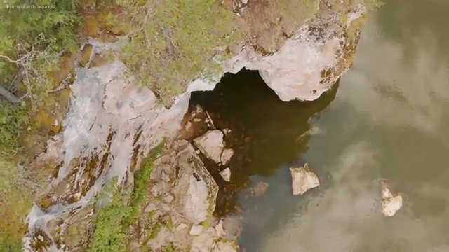  부동산 매매 수수료 계산기 , 부동산자산관리전문가 한달 만에 부동산자산관리사자격증 합격 전략