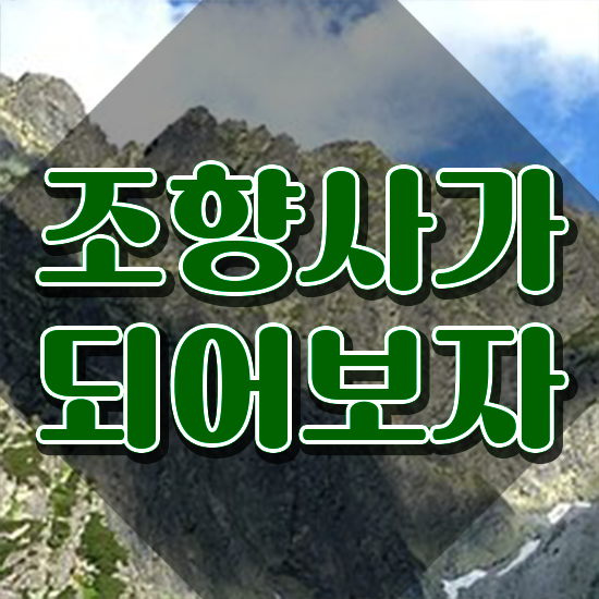  국가 자격증 추천 , 조향사 집에서 온라인으로 대학진학, 경력없이 빠르게 완료한 노하우