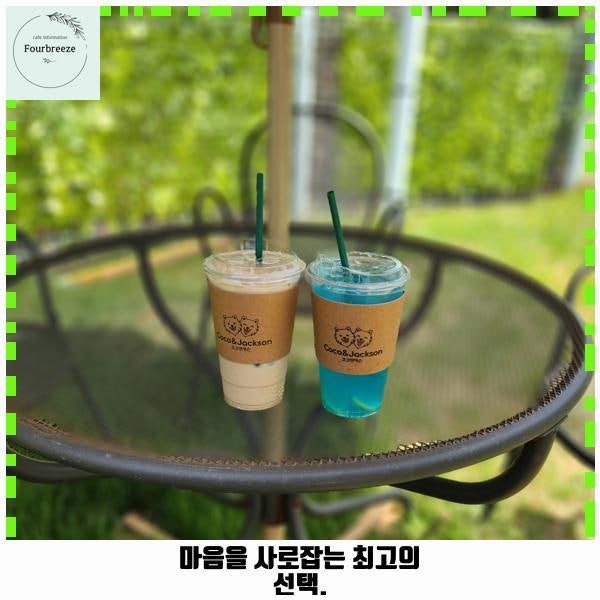 사진 3