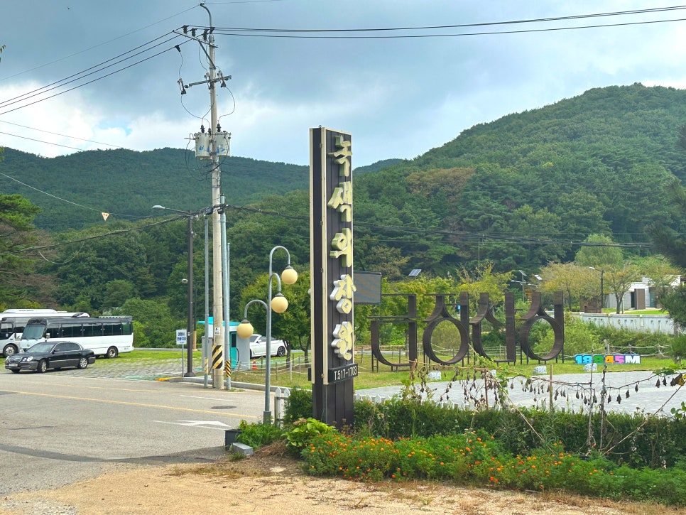녹색의장원 사진 2
