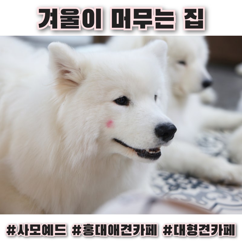 사진 6