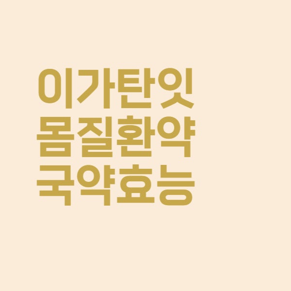  이가탄 가격 성분과 효능 치은염 잇몸질환 약국약