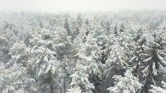  노인맞춤돌봄서비스사업 , 노인돌봄생활지원사 자격증 15일 만에 합격한 팁 및 채용 정보