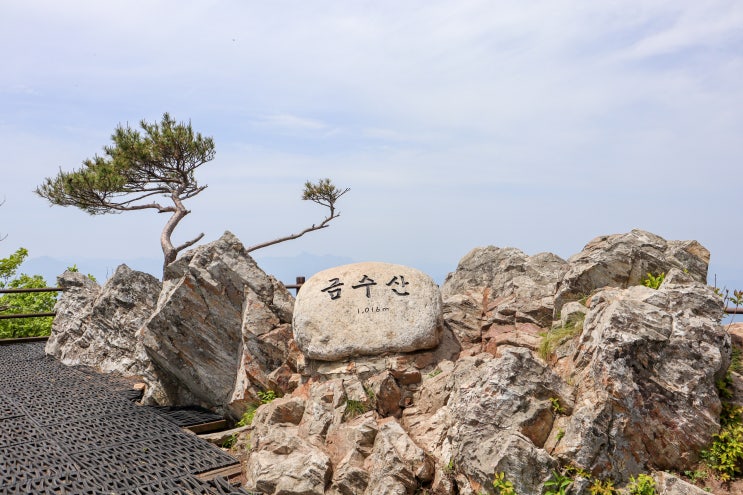  제천 금수산 등산 코스 비온 뒤 한국 100대 명산