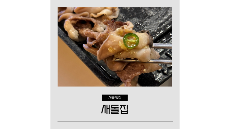 강남구청역 맛집 새돌집 분위기 좋은 논현동 고기집 강남구청역 맛집 새돌집 분위기 좋은 논현동 고기집