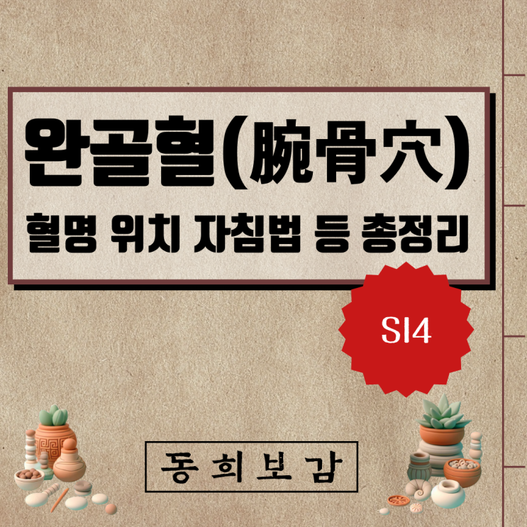  완골혈(腕骨穴) SI4, 혈명 위치 자침법 등 총정리