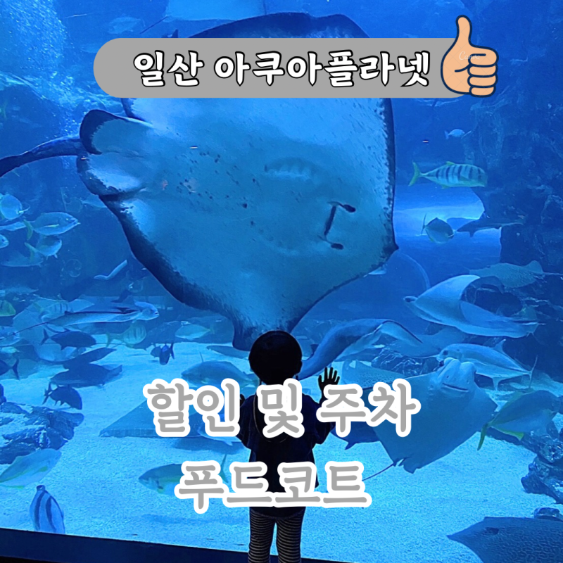 일산 아쿠아플라넷 할인 및 푸드코트 정보