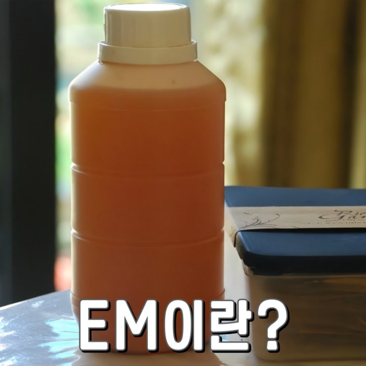 EM 실생활 활용방법의 모든 것