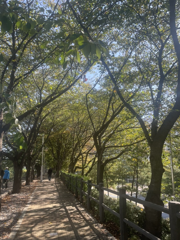  [일상] 가을 한주