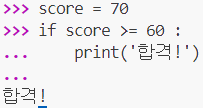  파이썬 조건문
