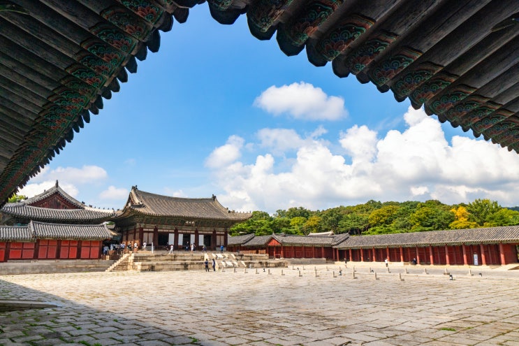  창경궁의 여름