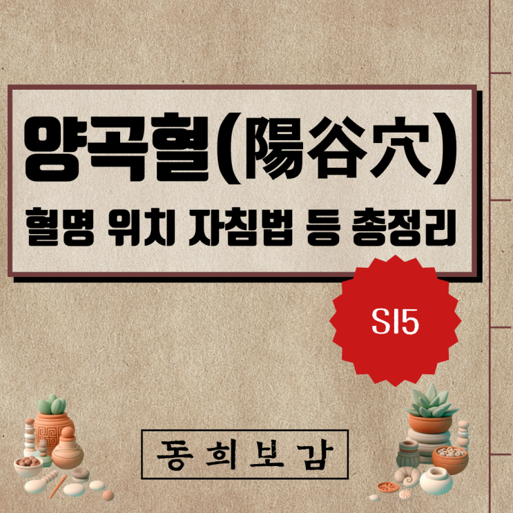  양곡혈(陽谷穴), SI5, 혈명 위치 자침법 등 총정리