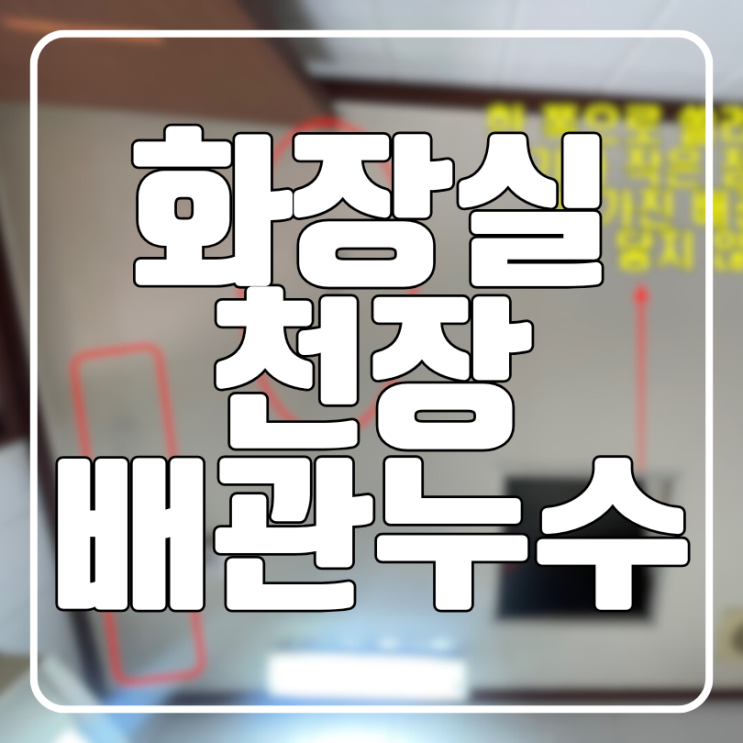  수원 화장실 천장 배관 누수 아랫집 피해 복구 과정까지