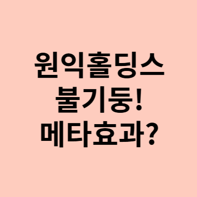  원익홀딩스 주가, 불기둥! 페이스북 메타와 이걸한다고?