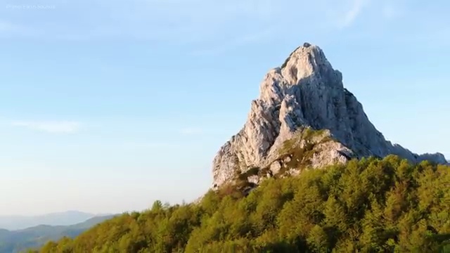  반려동물관리사 하는일 , 반려동물관리사 자격증 단기간에 시험준비 및 온라인 무료강의
