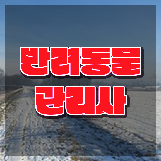  반려동물목욕관리사 , 반려동물관리사 자격증 한달 만에 합격한 후기 콕콕 짚어드립니다