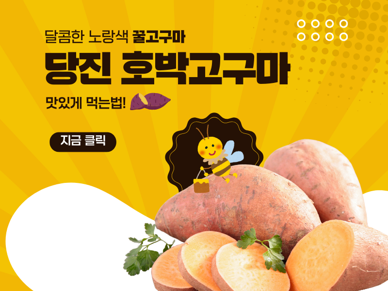 달콤한 노랑색 꿀고구마, 당진 호박고구마 맛있게 먹는 법
