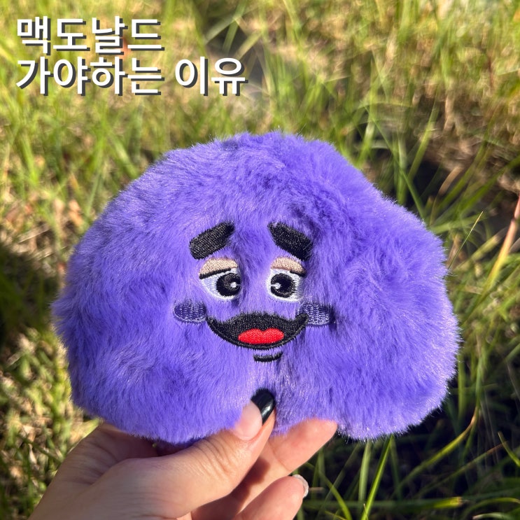  맥도날드 그리머스 동전지갑 맥런치 구매후기 수납력