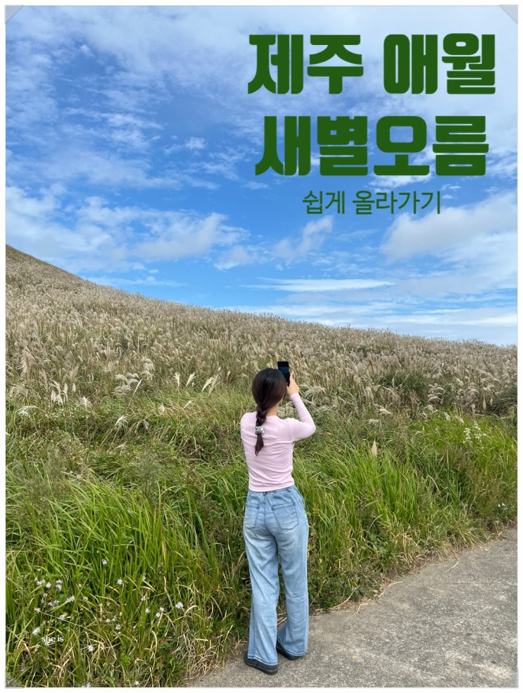  제주도 가을 억새 여행 새별오름 주차 및 쉽게 오르는 꿀팁