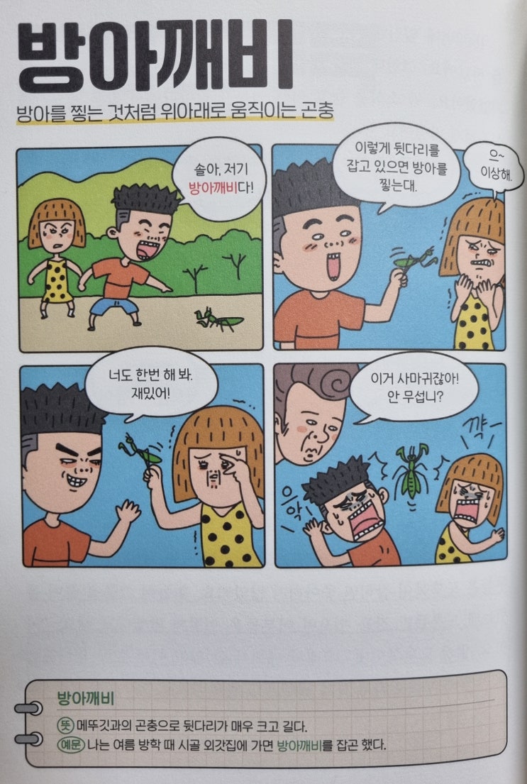 우리말 <방아깨비> 방아를 찧는 것처럼 위아래로 움직이는 곤충