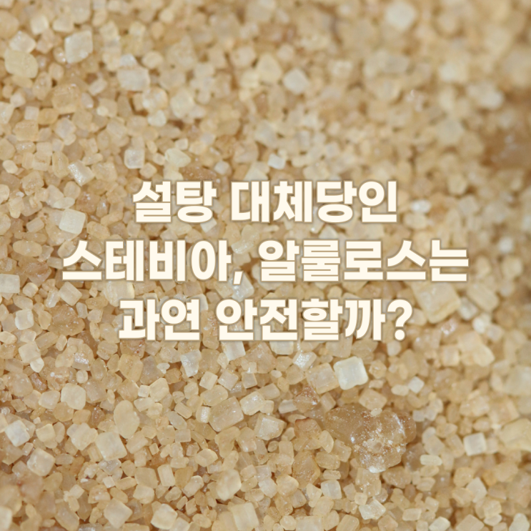  설탕 대체당인 스테비아, 알룰로스는 과연 안전할까?