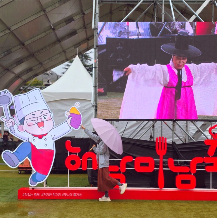  11월 가볼만한곳 전라도 축제 해남미남축제 식도락 여행 후기