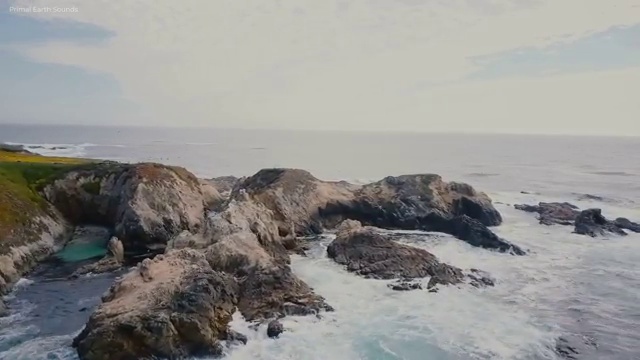  가을 네일 디자인 , 네일아트지도사 자격증 1달 만에 취득한 노하우 콕콕 짚어드립니다
