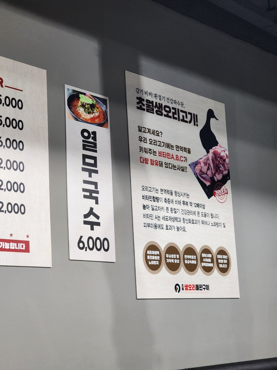 초월생오리 사진 5
