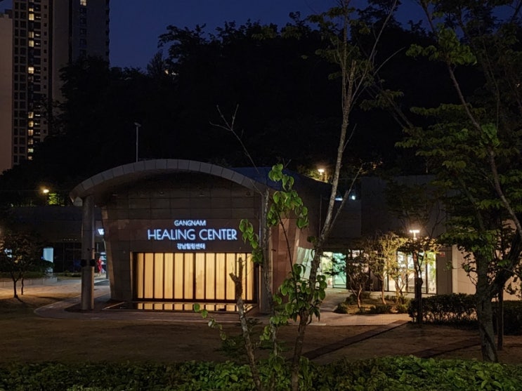  [강남힐링센터] 분위기 좋은 곳에서 요가, 필라테스 등 수강할 수 있는 센터