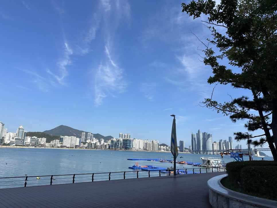 일품향 사진 1