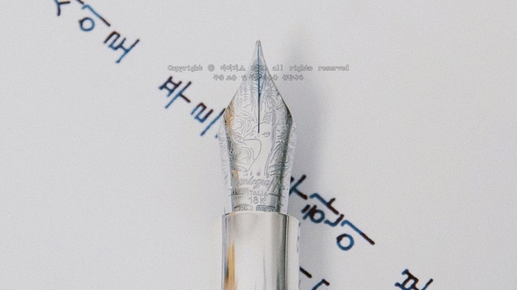  푸르른 무한이 보였다 (몬테그라파 엑스트라 F닙 만년필로 필사하기)