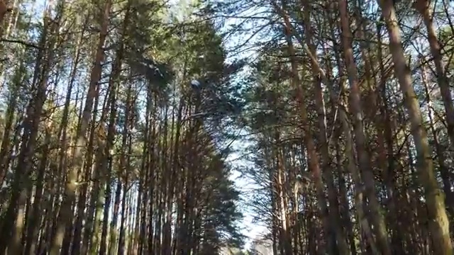  , 학교안전지도사 자격증 응시자격 없이 취득했던 후기 , 무료수강 혜택