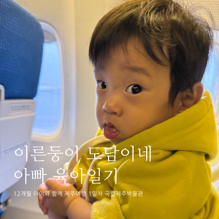 12개월 아이와 함께 제주여행 1일차 국립제주박물관 제주 가볼만한곳 D+368 12개월 아이와 함께 제주여행 1일차 국립제주박물관 제주 가볼만한곳 D+368