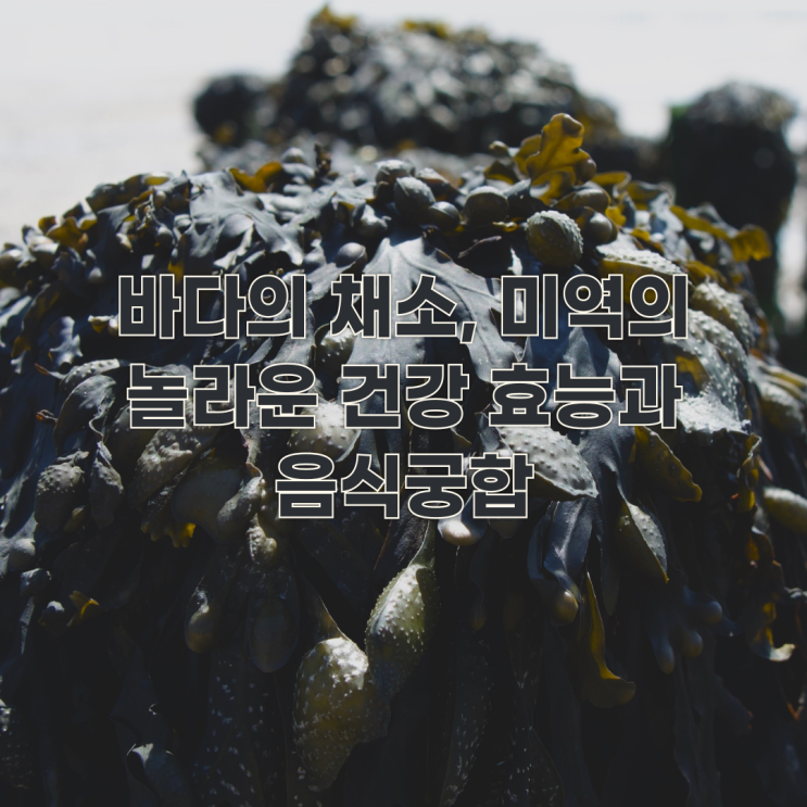  바다의 채소, 미역의 놀라운 건강 효능과 음식궁합 - 갑상선 건강부터 다이어트까지