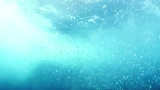  사회복지직 공무원 시험 사회복지사 대학진학없이 인강 듣고 간단하게