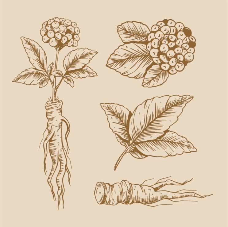  32. 먹느냐 마느냐(1)_홍삼