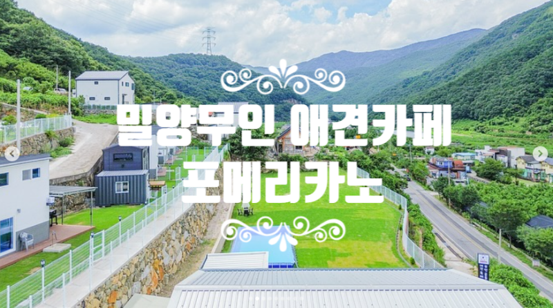 사진 3