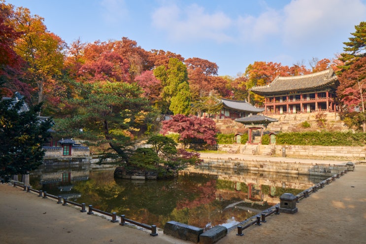  창덕궁 후원 사계(四季) 1편 _ 부용지&주합루