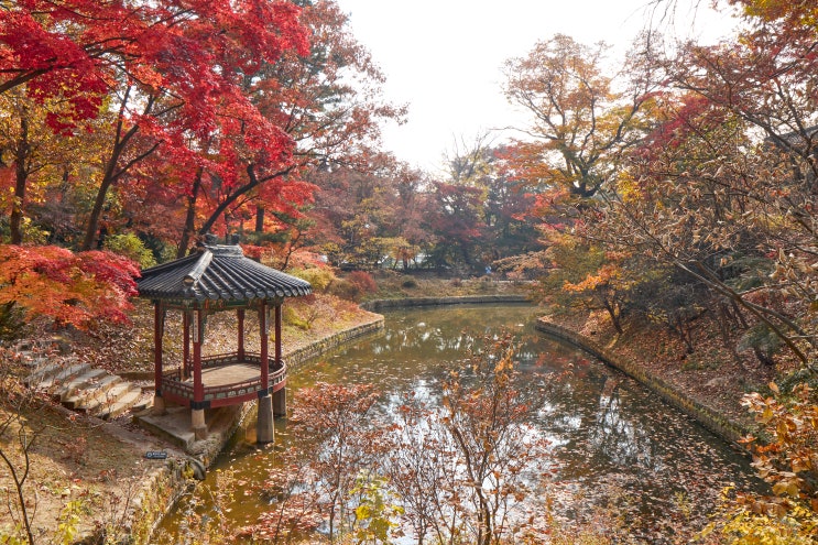  창덕궁 후원 사계(四季) 2편 _ 존덕정&관람정