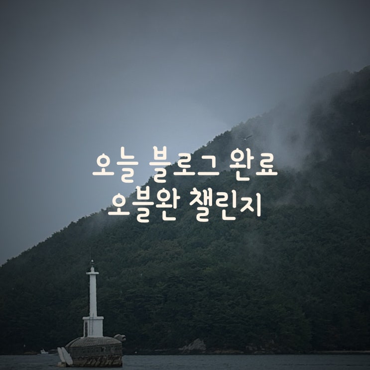  작심삼주 티스토리 오블완 (오늘 블로그 완료) 챌린지 11월 7일 시작