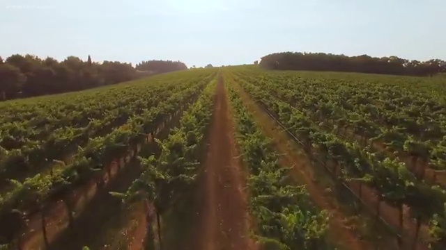  반려동물복지관리사 , 반려동물관리사 자격증 합격한 전략 정보 퍼펙트 요약
