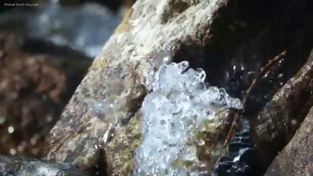  청소년상담사 자격증 , 심리상담사 자격증 쉽고 빠르게 합격한 후기 및 활용 방법