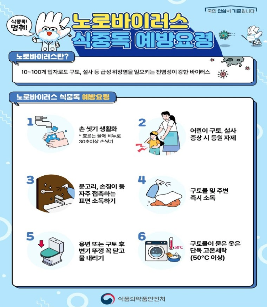  노로바이어스 초기증상 원인 예방법 전염 잠복기 및 굴 음식 주의